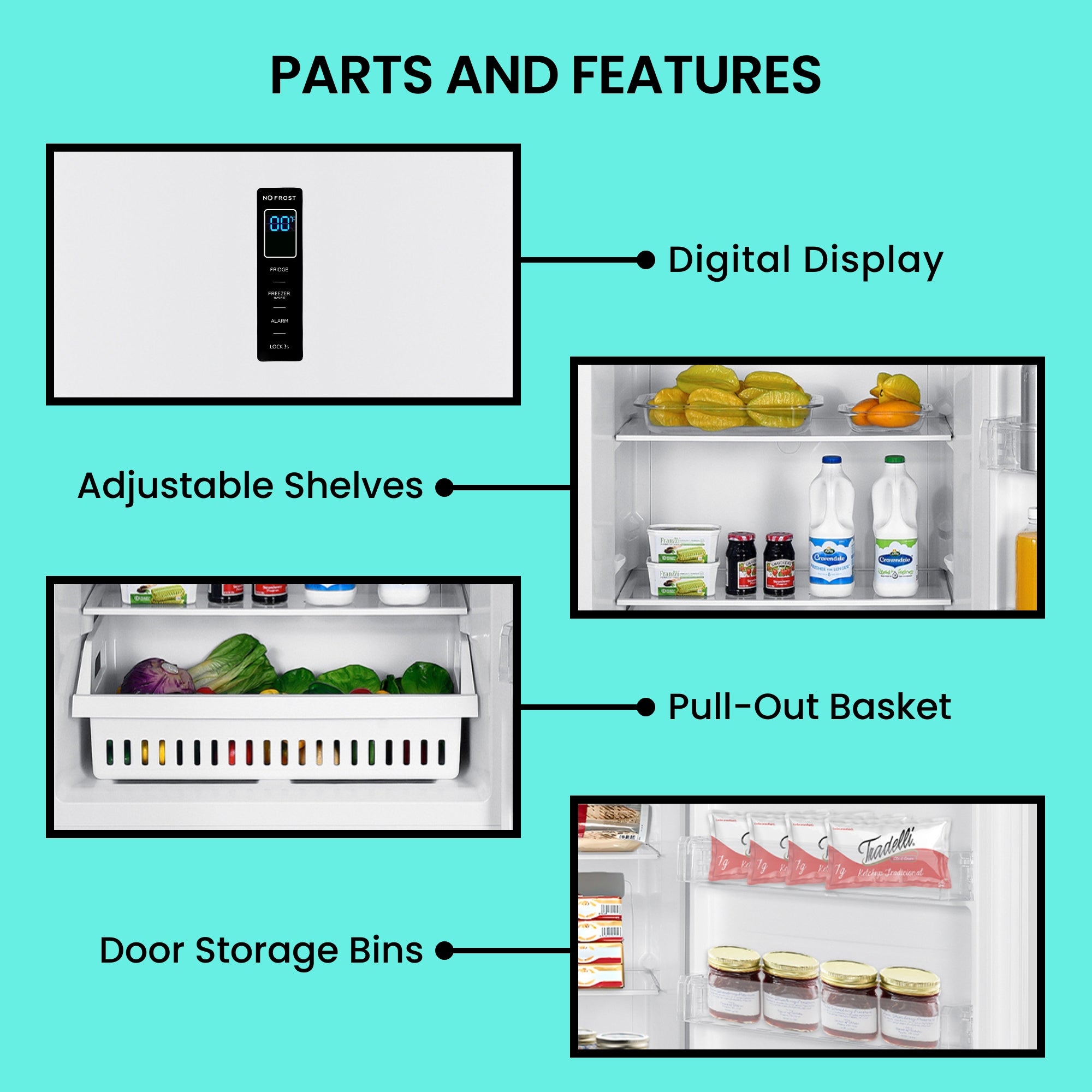 Four labeled images on a bright aqua background show parts and features of the Koolatron upright convertible fridge freezer: Digital display; adjustable shelves; pull-out basket; door storage bins.