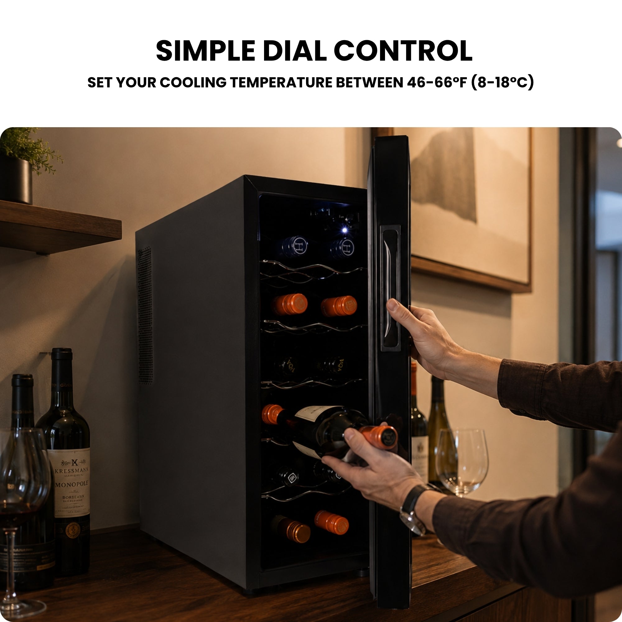 Koolatron 12-Bottle Thermoelectric Wine Cellar with Mirrored Door