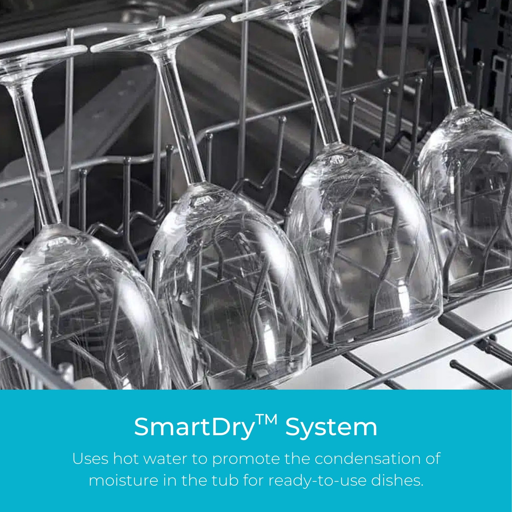 Closeup of clean wine glasses in the Kenmore stainless steel dishwasher. Text below reads, "SmartDry System: Uses hot water to promote the condensation of moisture in the tub for ready-to-use dishes."
