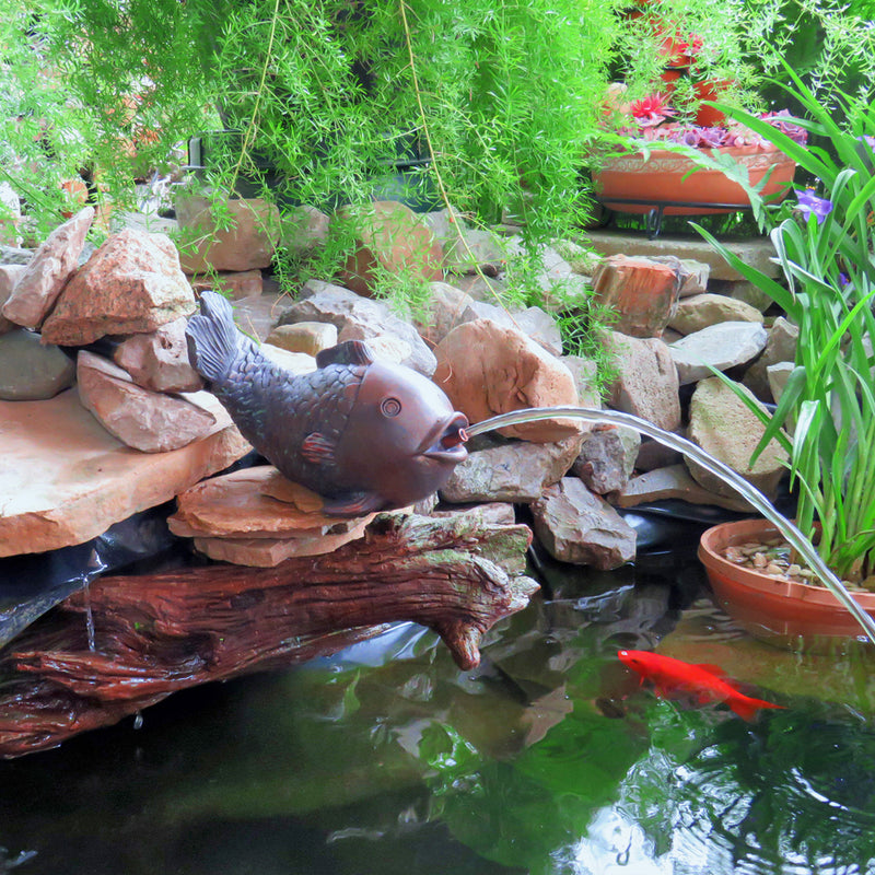 Lifestyle image of Koolscapes fish spitter water feature set up on a flat stone on the side of a backyard pond with green grass with a bright green plants and terracotta planters in the background and a stream of water flowing into the pond above a bright orange goldfish
