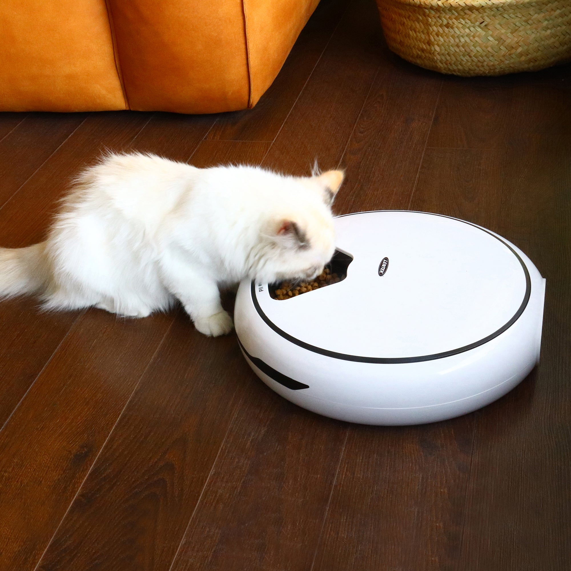 Lentek Programmable 5 Meal Pet Dish | Voice Message Support
