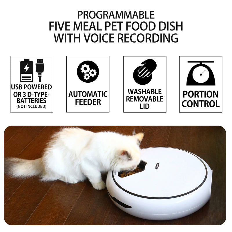 Lifestyle image of a cream-colored long-haired kitten eating from the Lentek automatic pet feeder on a dark wooden floor. Text at the top reads, "Programmable five meal pet food dish with voice recording," followed by icons and text describing: USB powered or 3 D-type batteries (not included); automatic feeder; washable removable lid; portion control