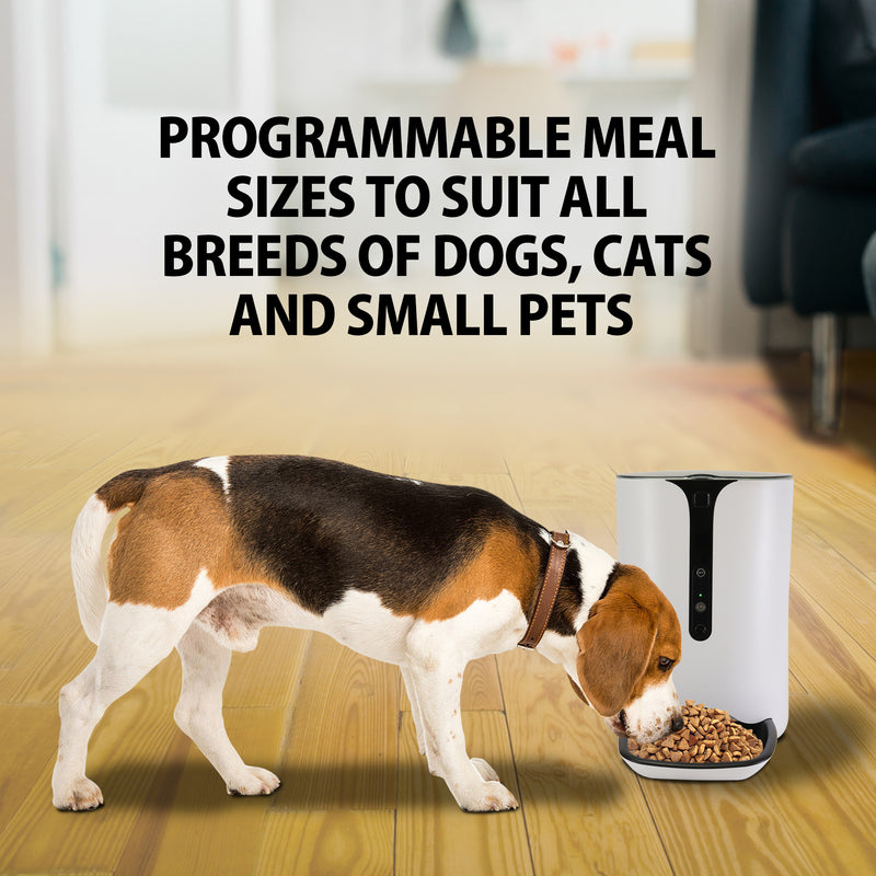 Lifestyle image of a white, black, and tan beagle eating from the Lentek smart pet food dispenser on a wooden floor. Text overlay reads, "Programmable meal sizes to suit all breeds of dogs, cats, and small pets"