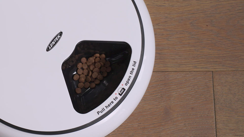 Video with text overlay and music in the background demonstrates the parts and features of the Lentek 5-meal programmable electronic pet feeder